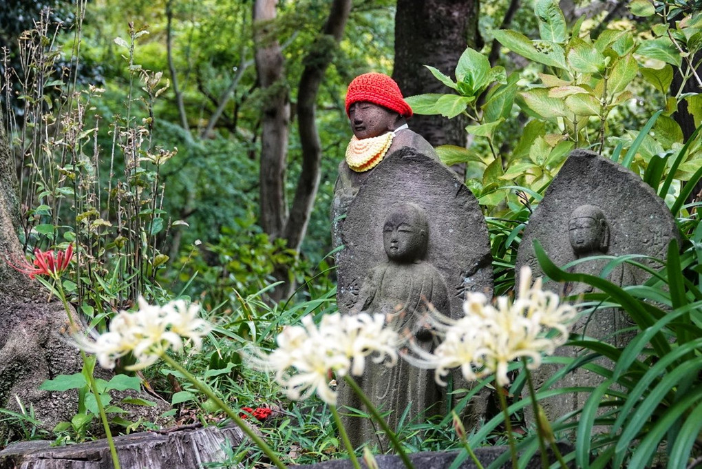 彼岸花が咲く頃に