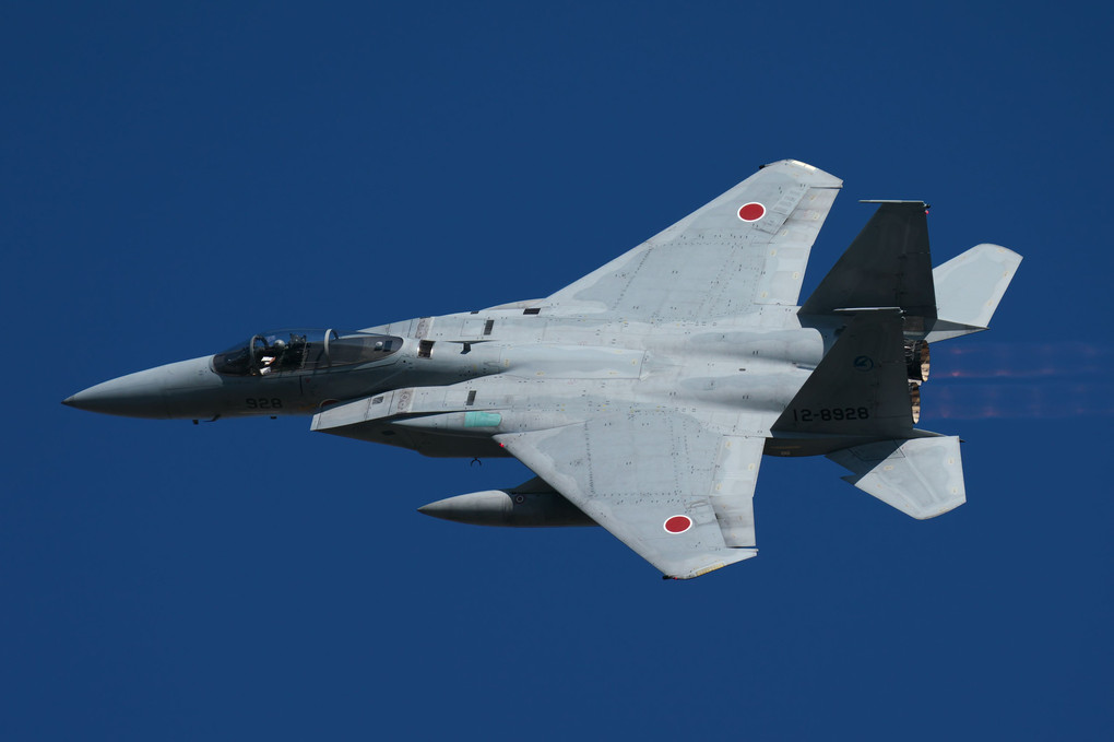 岐阜基地航空祭 F-15