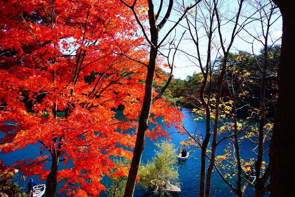 福島、紅葉狩り