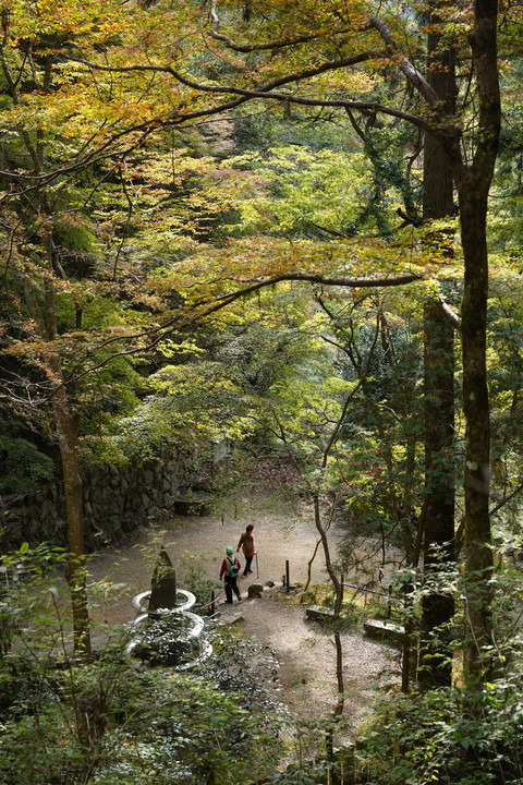 鞍馬山の秋