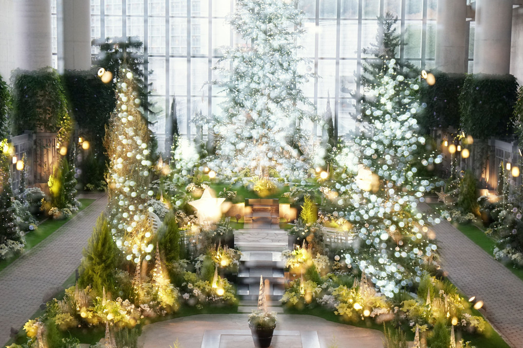 奇跡の星の植物館