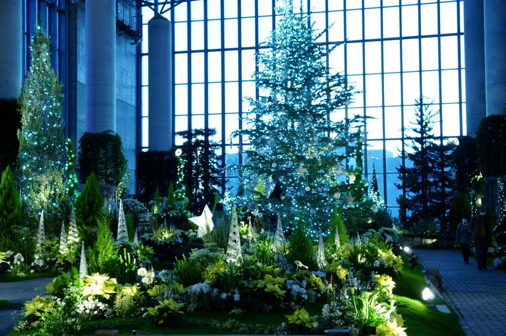 奇跡の星の植物館