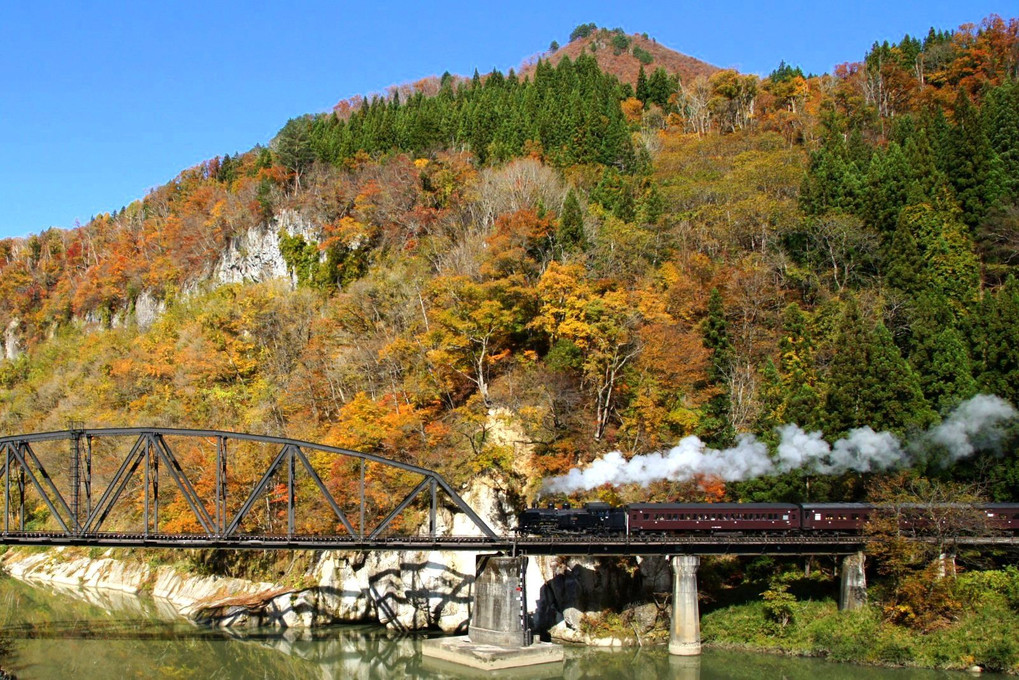 【掘り鉄】晴れの日、紅葉の日、只見線の日　2014.11.6　　　