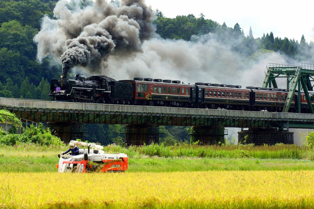 「汽車が来た！ キューが出てから 稲刈り再開(^^)」2023.9.23