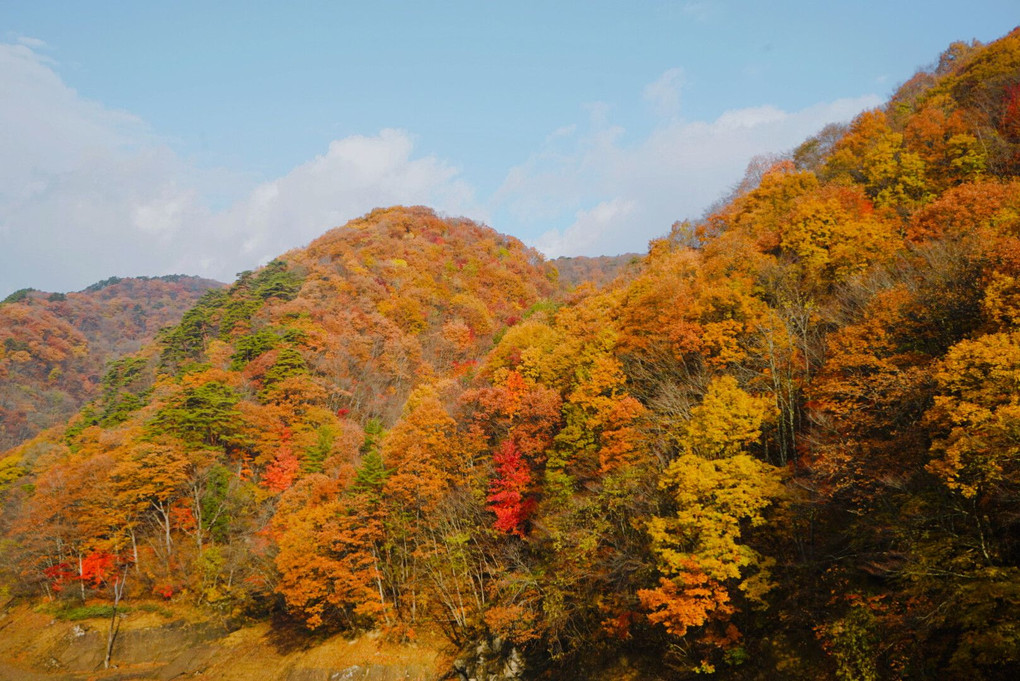 秋の葛丸渓流