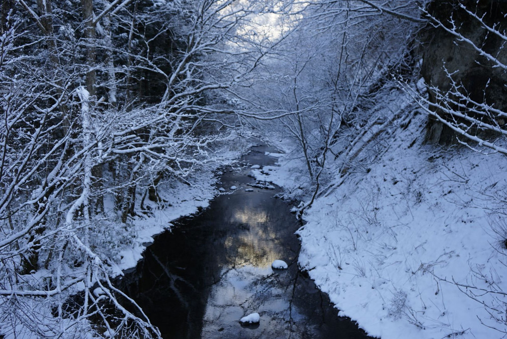 冬の葛丸渓流