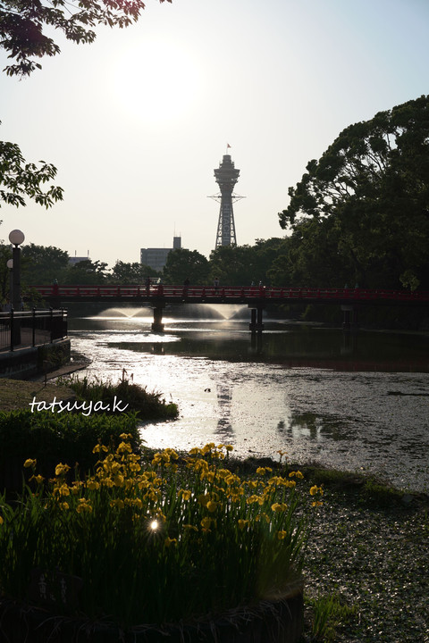 大阪の景色