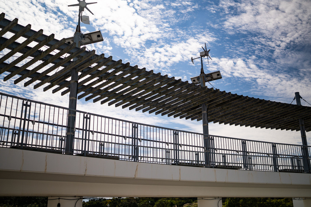 淡路島 国営明石海峡公園