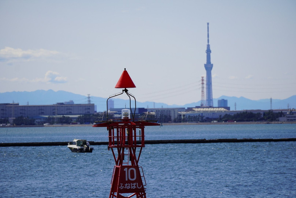 スカイツリーをのぞむ