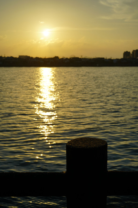 水辺の夕日