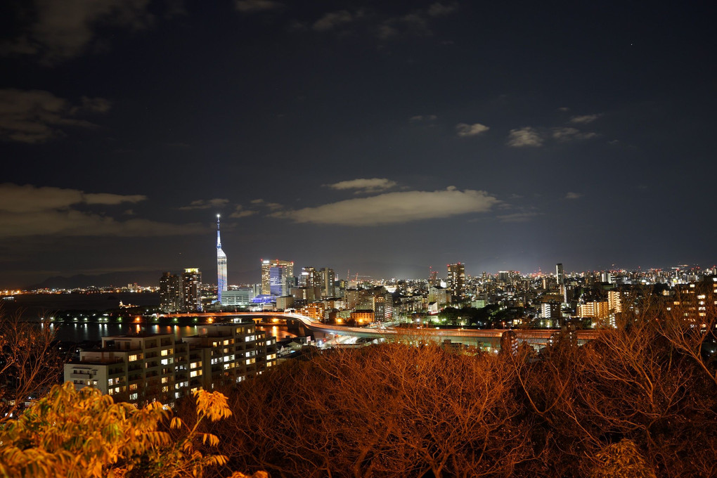 愛宕神社から見た福岡市の夜景