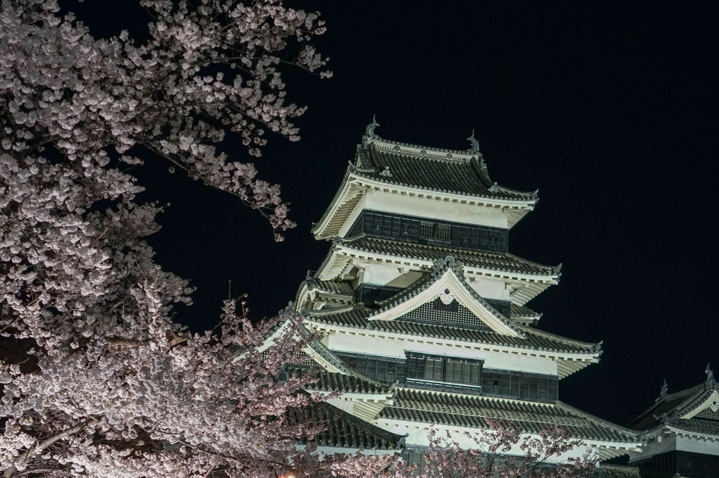 夜桜と松本城
