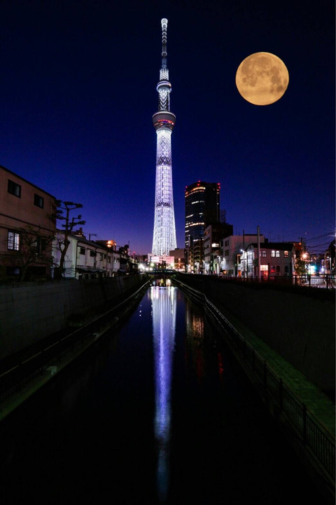 白い巨塔と月