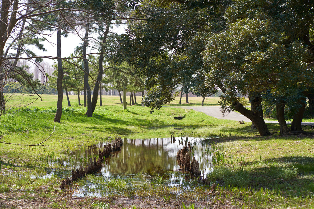 水元公園