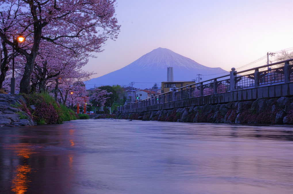 春の富士