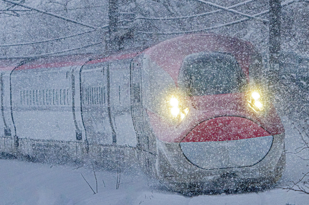 雪中こまち