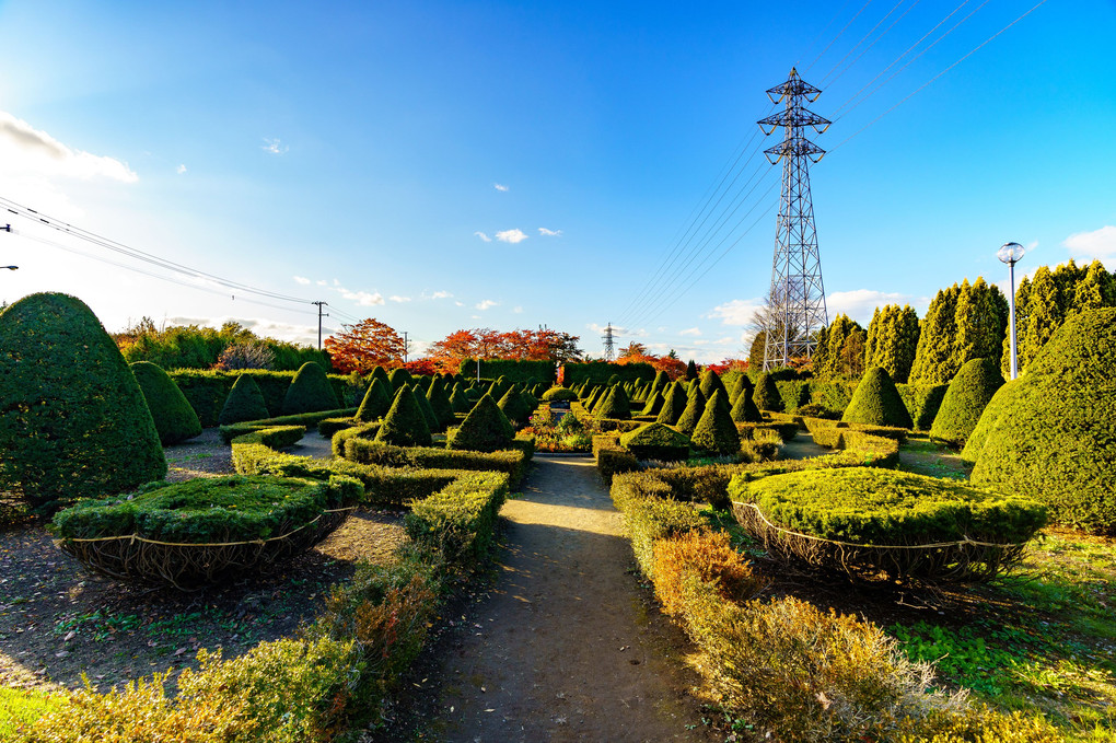 平岡樹芸センター