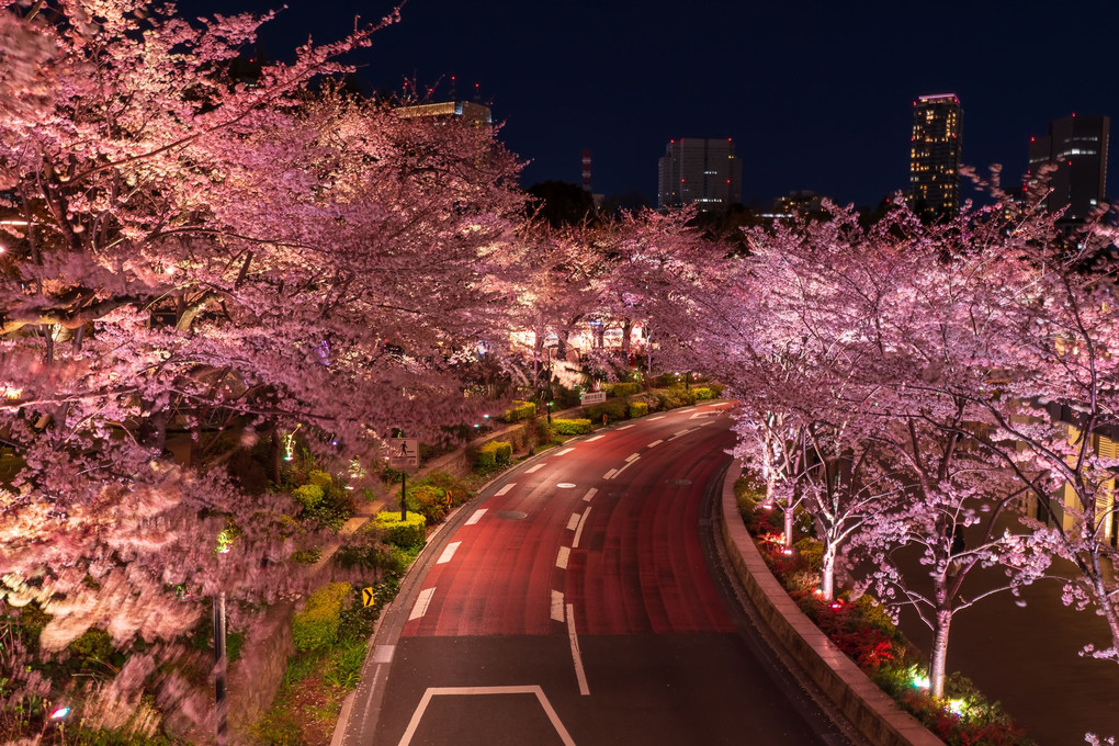 TOKYOミッドタウン