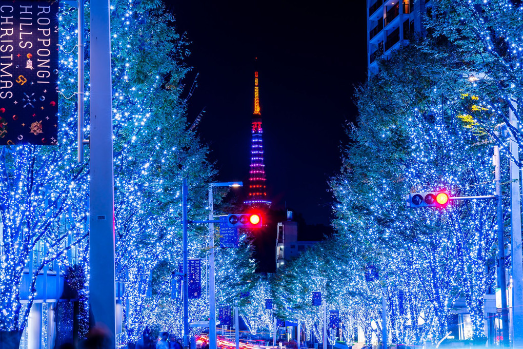 ROPPONGI HILLS　CHRISTMAS♪