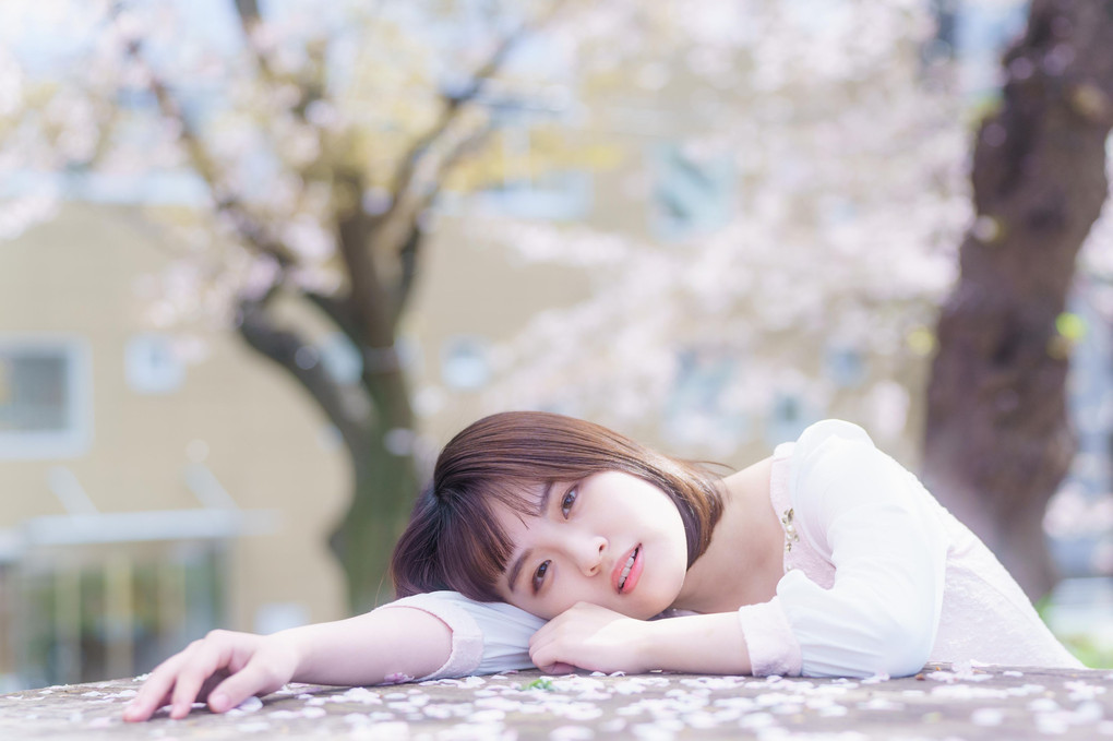 桜日和 -in the spring-