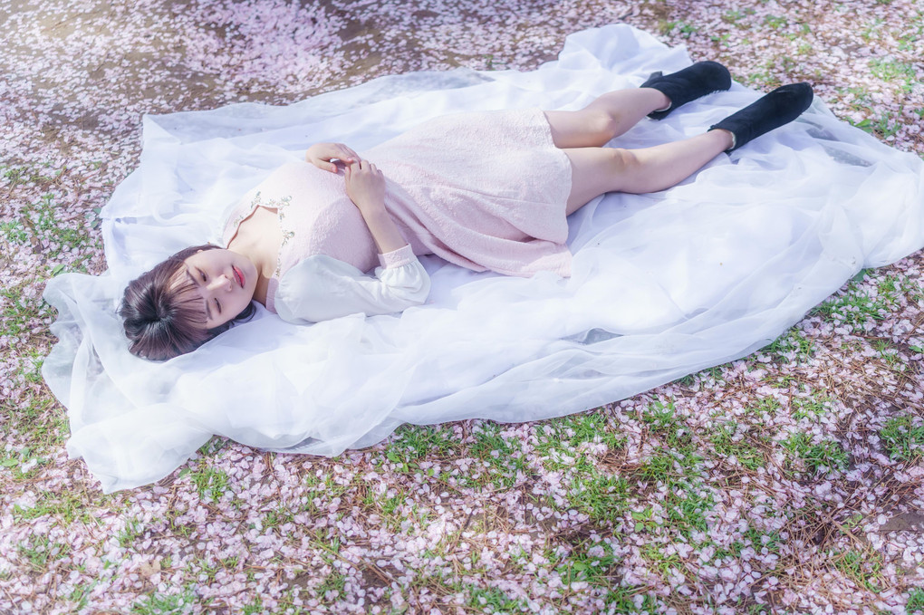桜日和 -in the spring-  