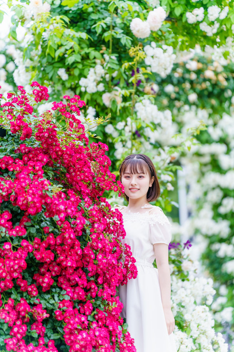 Little Rose Princess -夢見る花園-