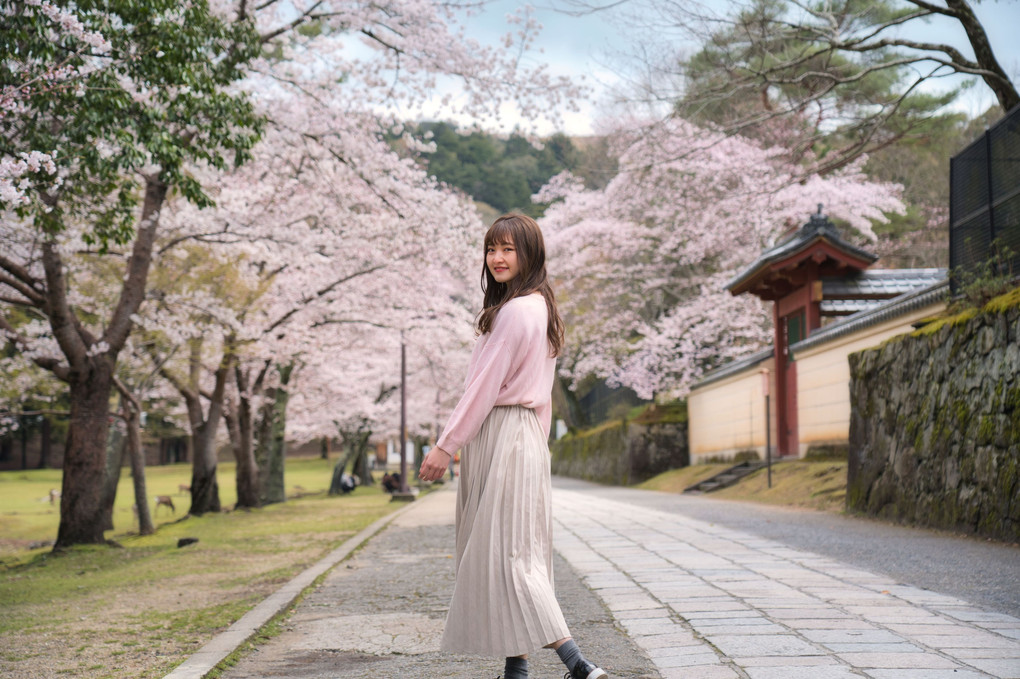桜ポートレートin奈良公園