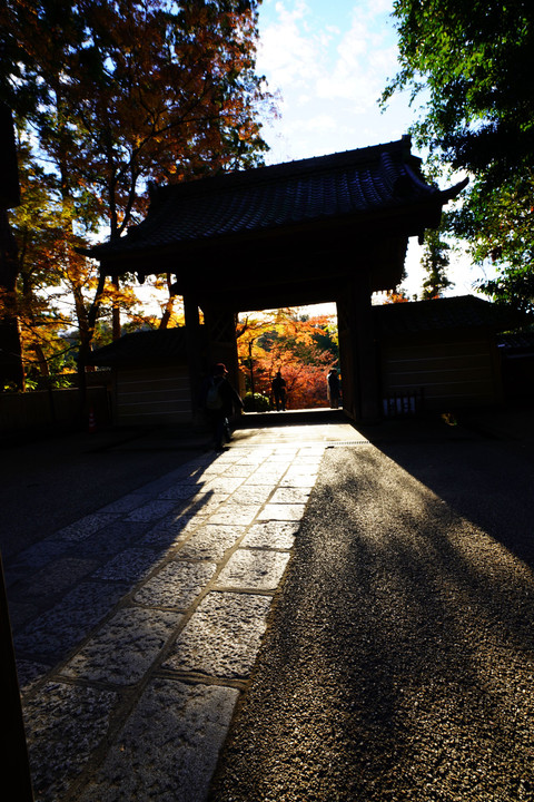 秋への門
