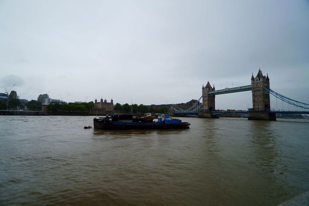 The Bridges on River Thames
