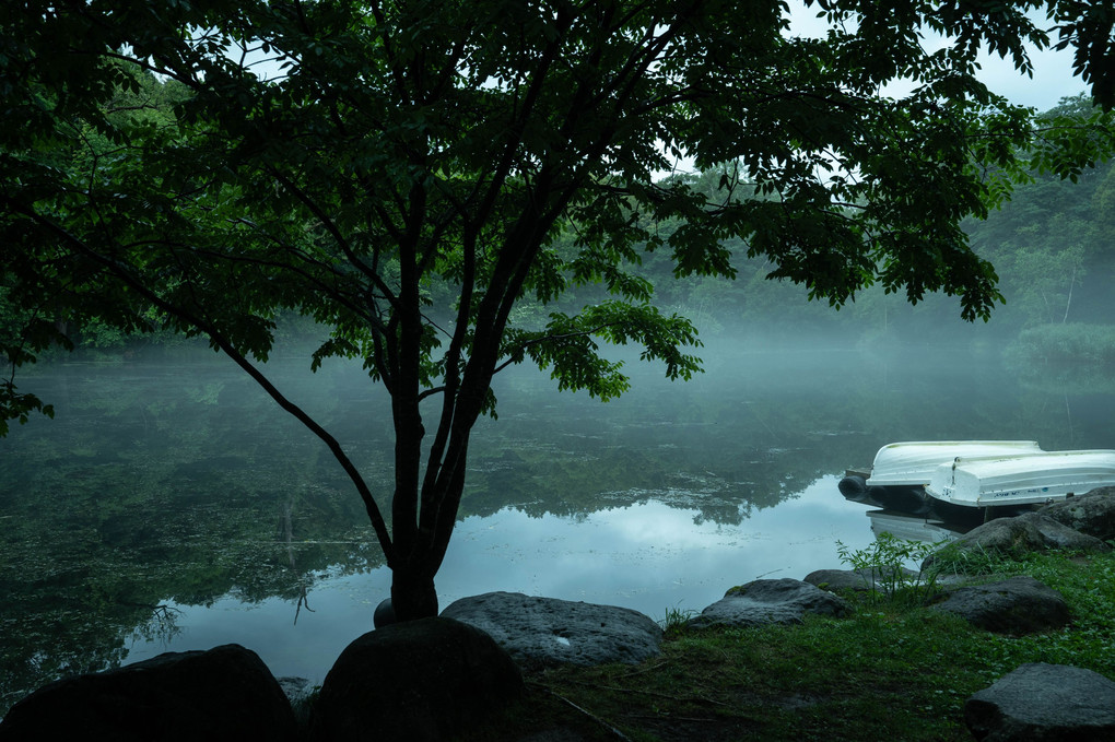 朝霧の沼