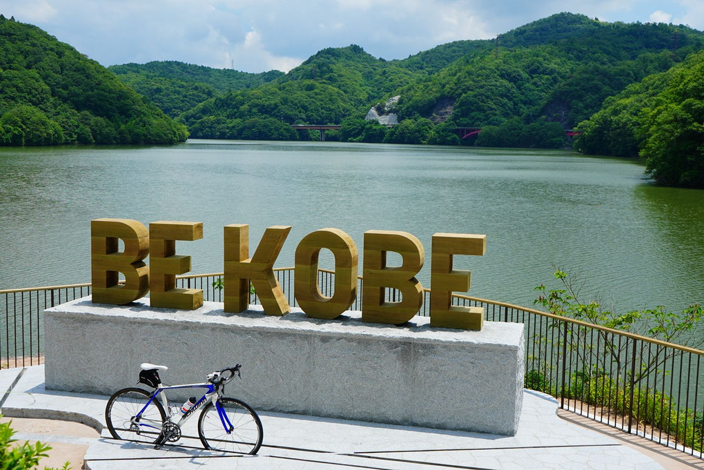 天然杉のBE KOBE