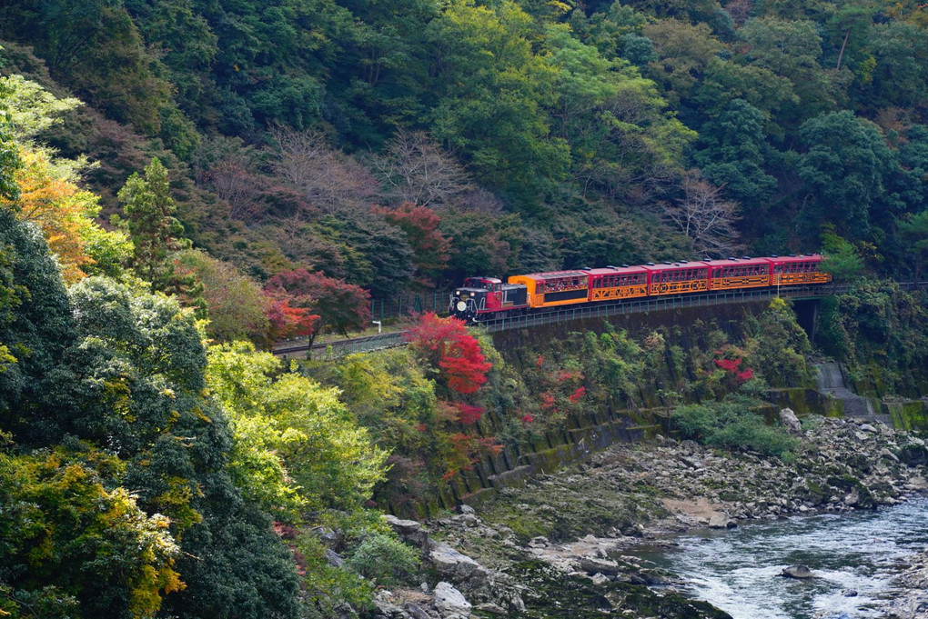 トロッコだ！船だ！〜興奮の秘境駅〜