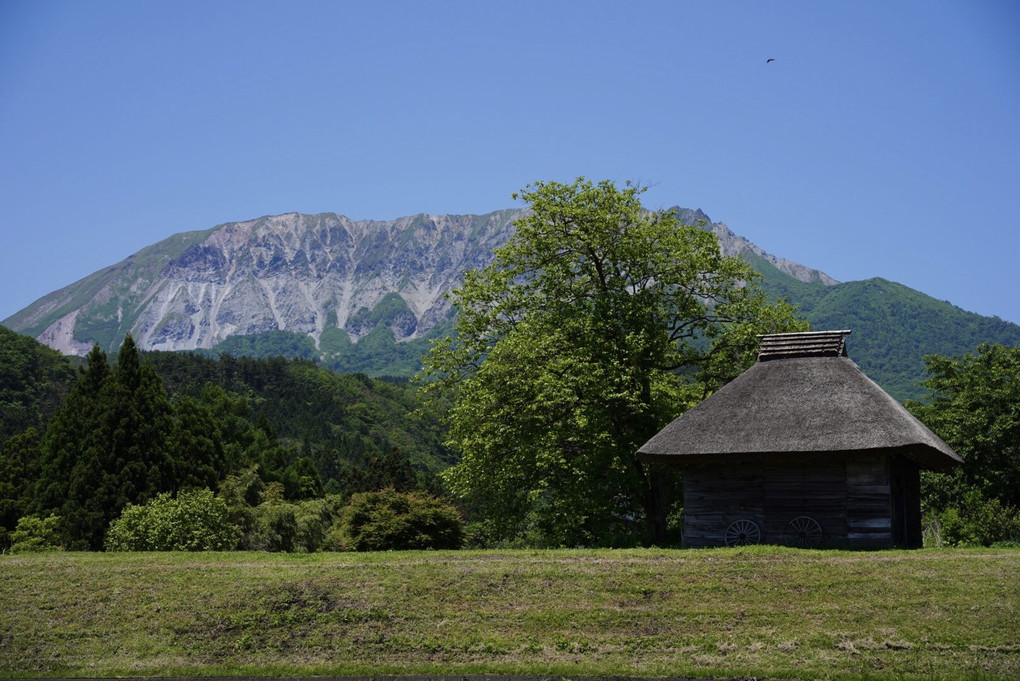 茅葺小屋と大山