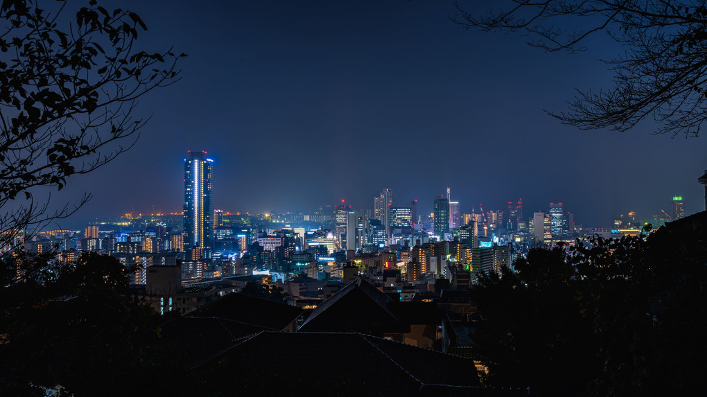 神戸×夜景