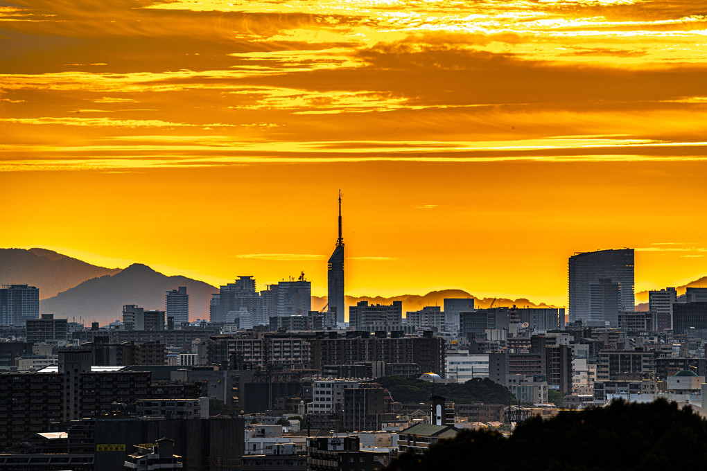 夕日の福岡タワー