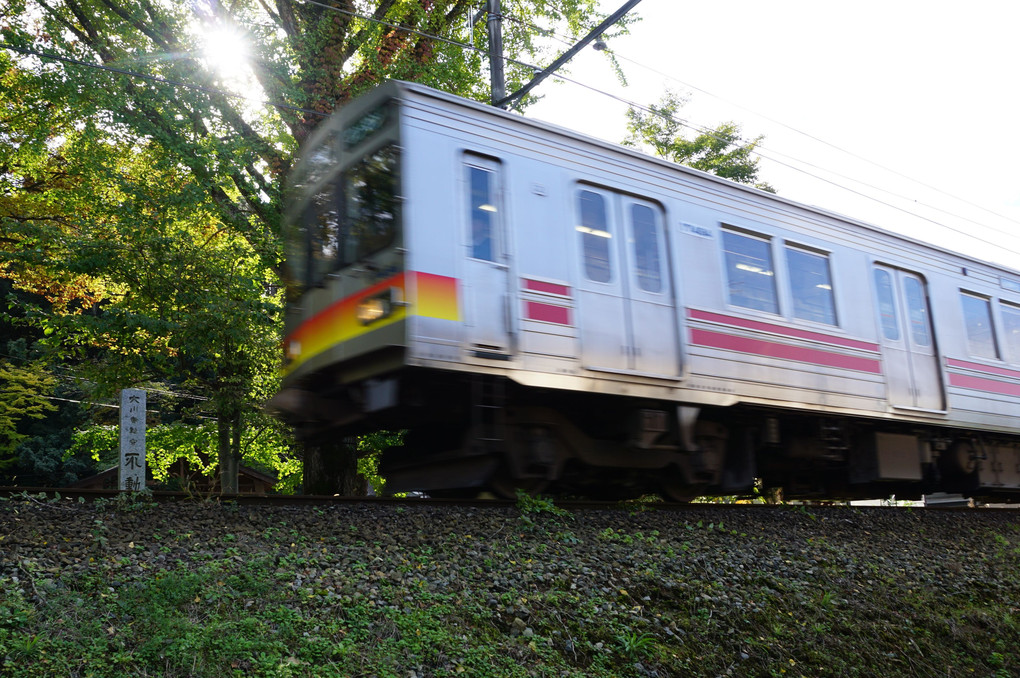 木漏れ日の中を走る