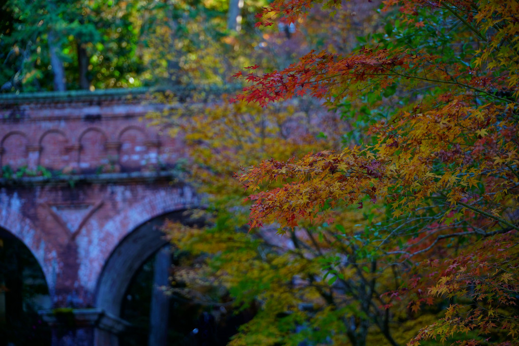 　秋　、、、　南　禅　寺　。