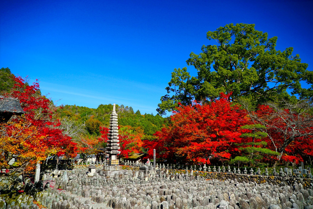 　化　　野　　念仏寺　。