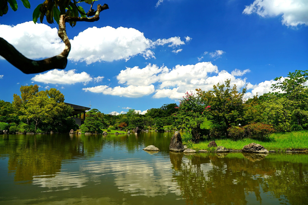 　夏　雲　と　　　　日本庭園　。