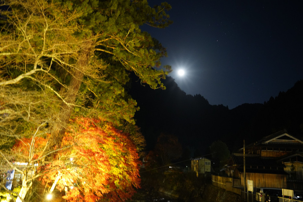 室生寺紅葉ライトアップ