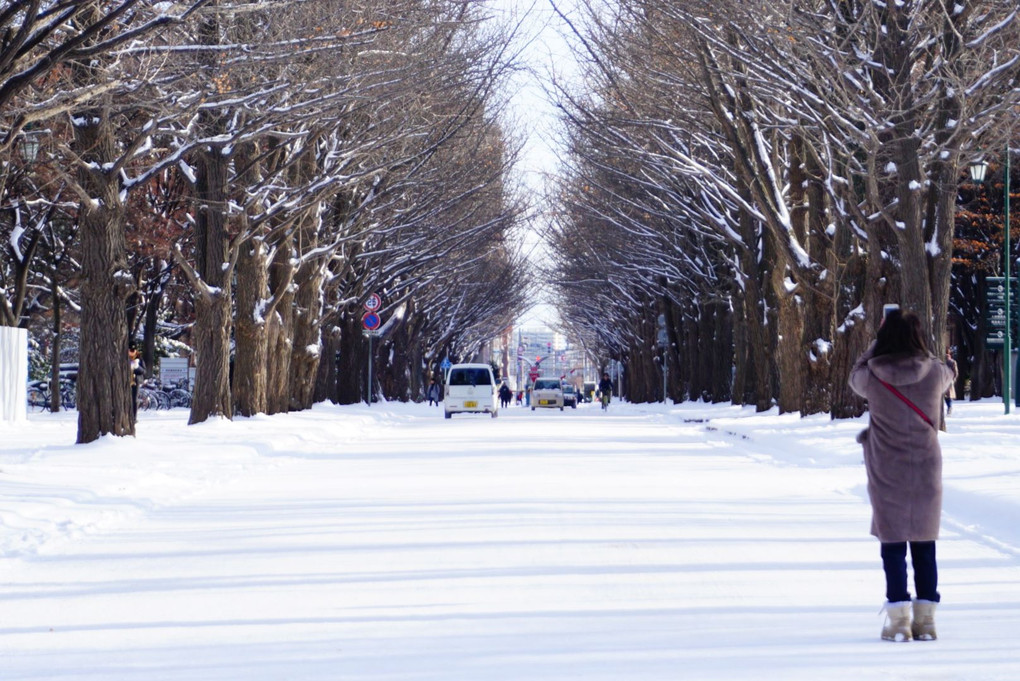雪の通学路