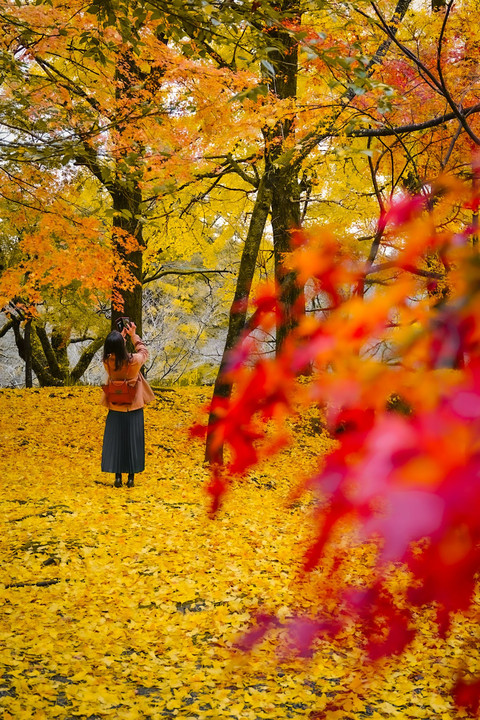 yellow carpet