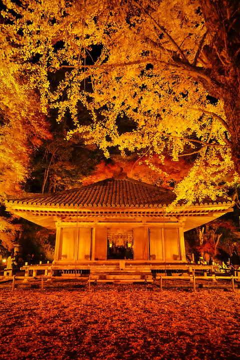 晩秋の国宝富貴寺