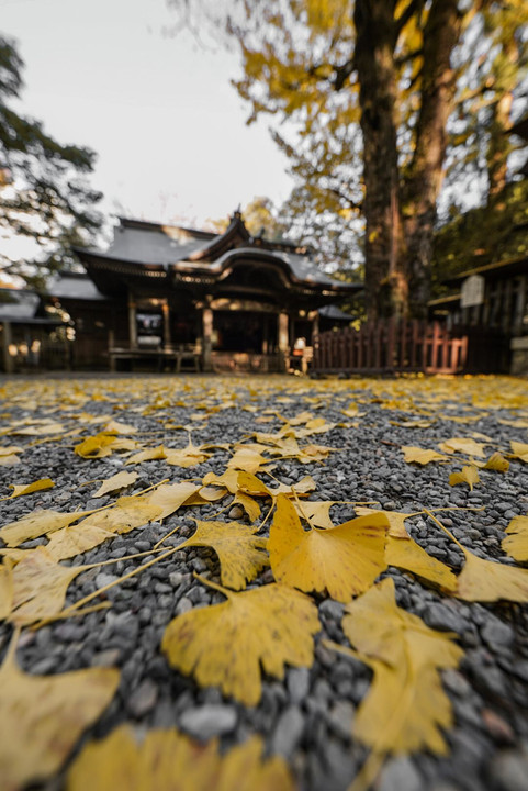 秋の天岩戸神社