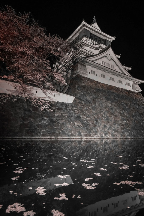 春の小倉城