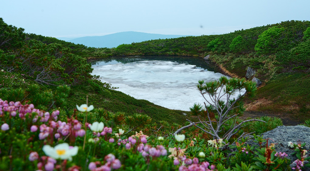 残雪（北海道・旭岳）