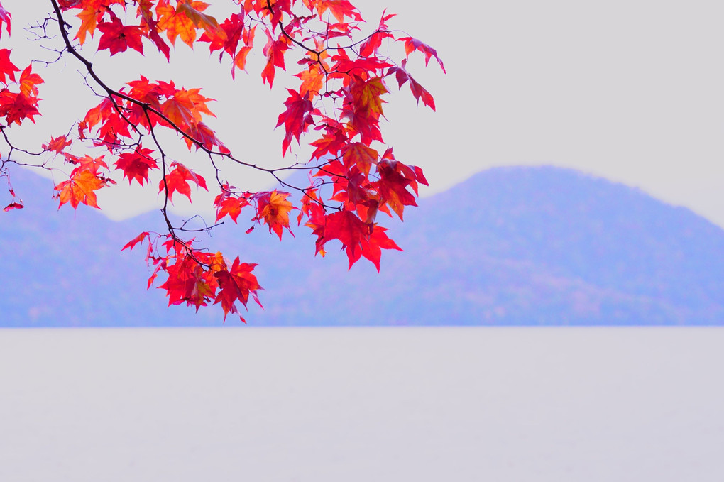 洞爺湖と紅葉
