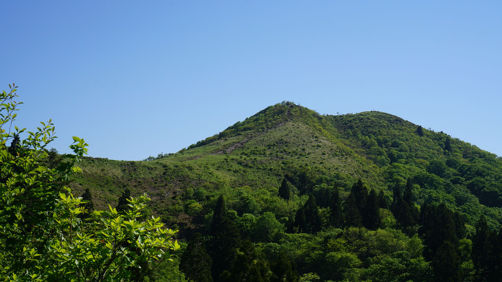 新緑の武奈ヶ岳（比良山系）