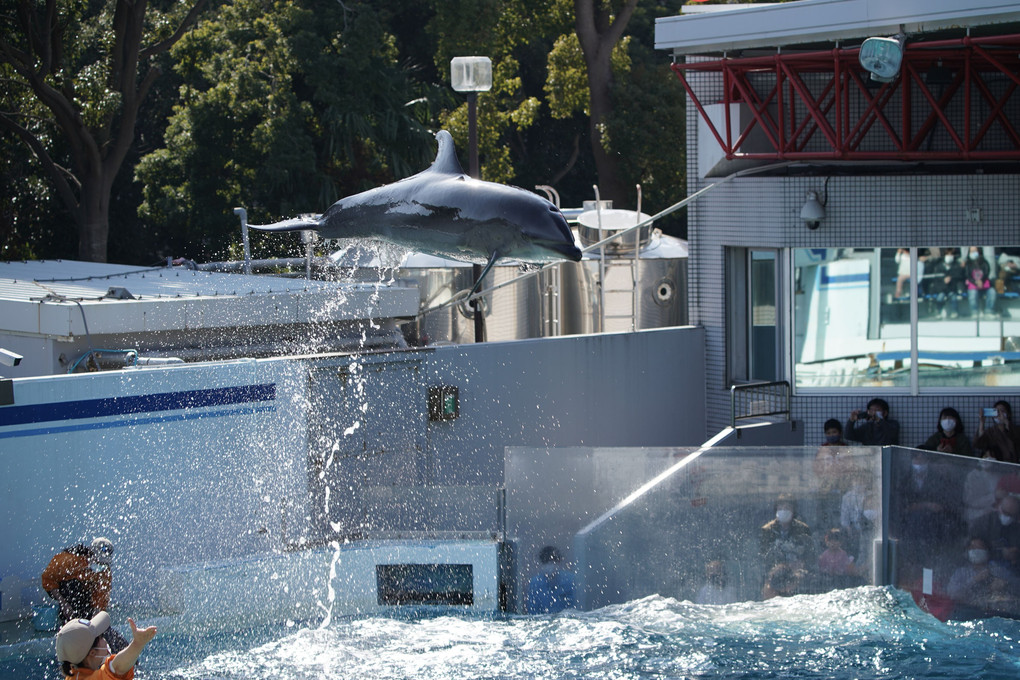 しながわ水族館にて