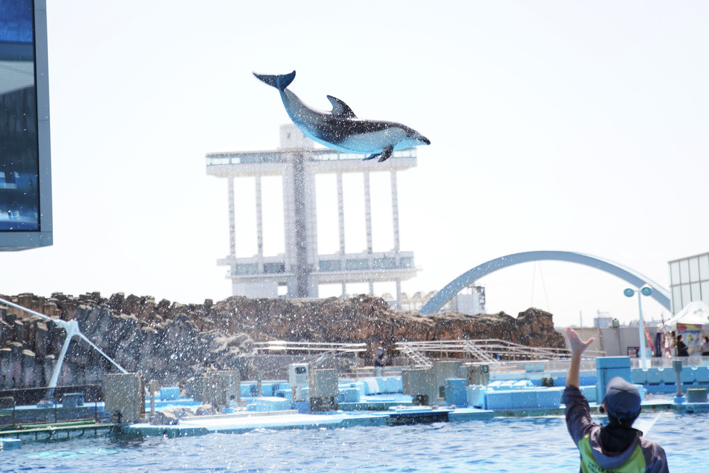 名古屋港水族館にて